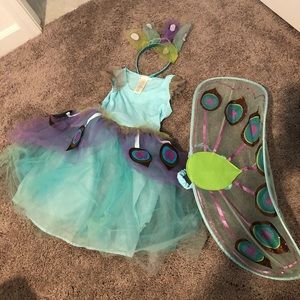 Girl’s Fairy costume